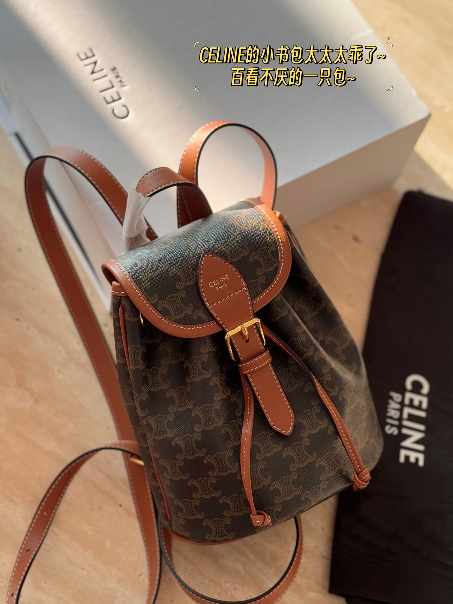CELINE bag 60